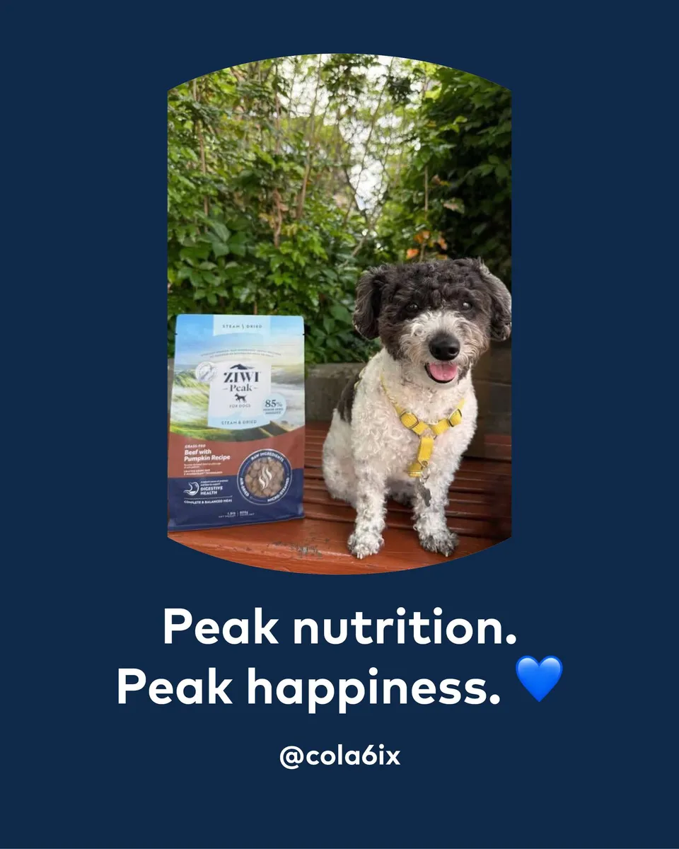 Now that's a happy customer. 🐶💙 A big thank you to our wonderful ZIWI community …